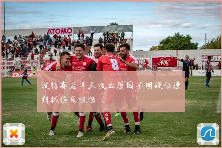 波特赛后耳朵流血原因不明疑似遭到抓伤或咬伤
